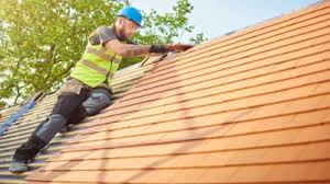 Best Solar Panel Roofing Installation  in Blackville, SC