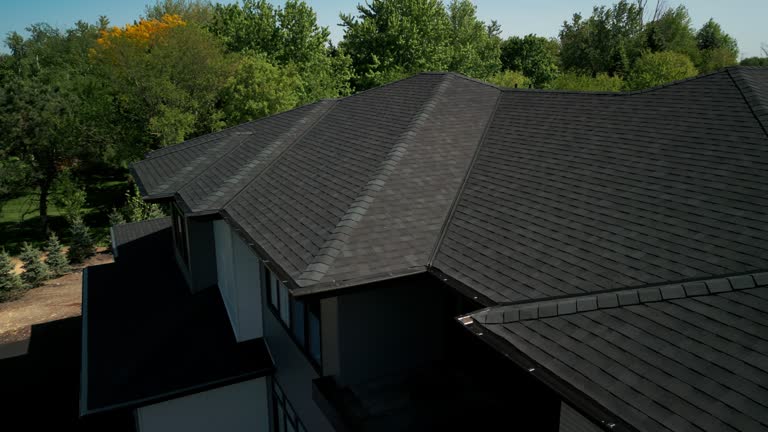 Best Green or Eco-Friendly Roofing Solutions  in Blackville, SC