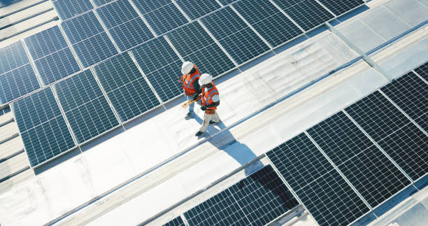 Best Roof Moss and Algae Removal  in Blackville, SC