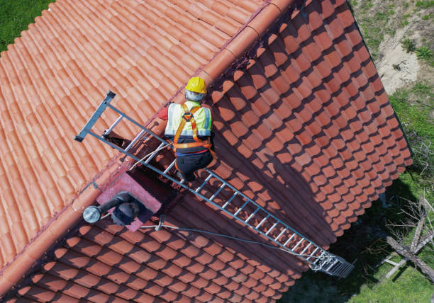 Best Sheet Metal Roofing  in Blackville, SC